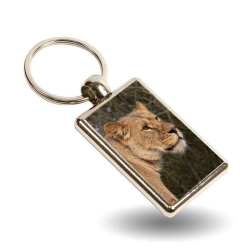 Key Ring - Amani