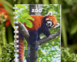 3D Red Panda Notebook