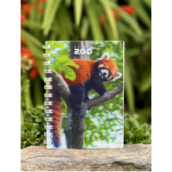 a spiral bound notebook with a cover displaying the dublin zoo name and a photo of a red panda on a tree branch.