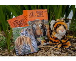 Family Tiger Supporter Pack