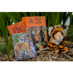 Family Tiger Supporter Pack