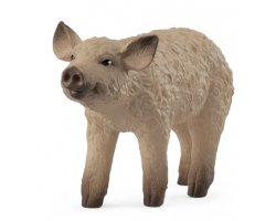 Mangalica Piglet