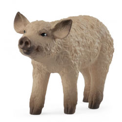 Mangalica Piglet