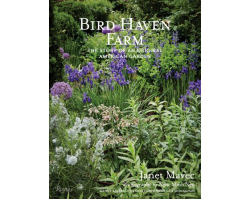 When you make your purchase, you will be emailed the viewing link and password within an hour.