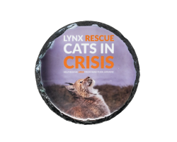Coaster- Lynx Rescue