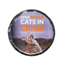 Coaster- Lynx Rescue