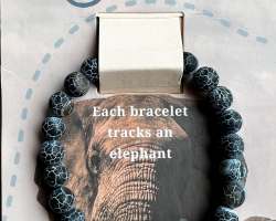 Elephant Fahlo Tracking Bracelet