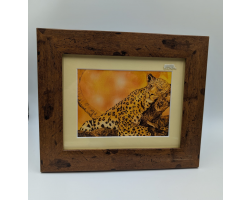 A brush with Africa Jaguar Asleep in Tree Framed