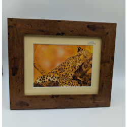 A brush with Africa Jaguar Asleep in Tree Framed