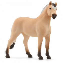Norwegian Fjord Horse Gelding