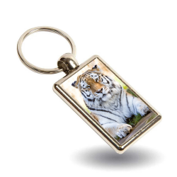 Key Ring - Amasia