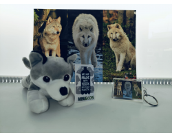 Wolf Adoption Package