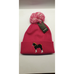 Cotebrook Embroidered Beanie Hat Fuscia Pink