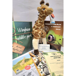 Giraffe Adoption Gift Box (inc. delivery)