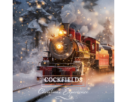 Virtual Train Ride extra ticket
