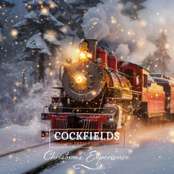 Virtual Train Ride extra ticket