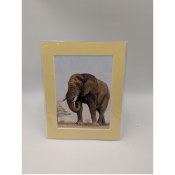 A brush with Africa Elephant (1D)