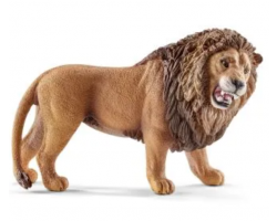 Lion, roaring