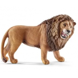 Lion, roaring