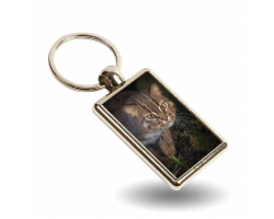 Keyring Kuda