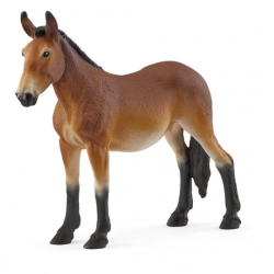 Mule