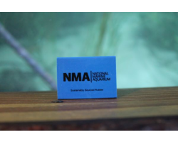 NMA Eraser - Blue