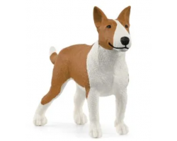 Bull Terrier