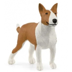 Bull Terrier