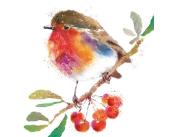 'Robin on the Branch' Christmas Cards