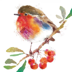 'Robin on the Branch' Christmas Cards