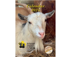 Buttercups Calendar 2025