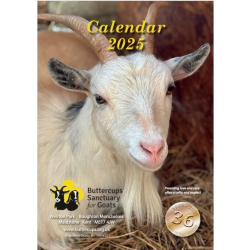 Buttercups Calendar 2025