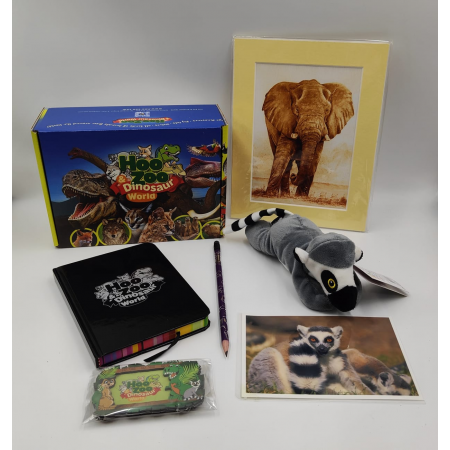 Lemur Adoption Package