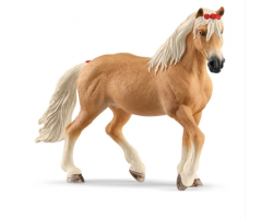 Haflinger Mare
