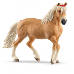 Haflinger Mare