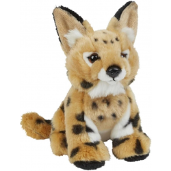 Serval 18cm Ravensden