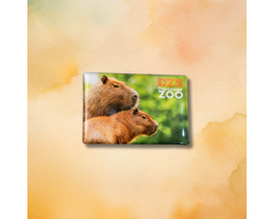 Capybara Magnet