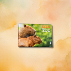 Capybara Magnet