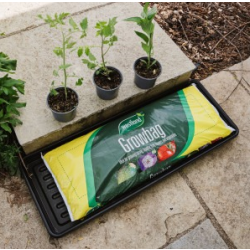 Value Grow Bag
