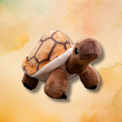 Mini Zappi Plush Tortoise