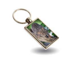 Keyring Kuda