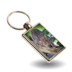 Keyring Kuda