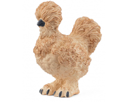 Silkie Chicken
