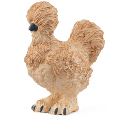Silkie Chicken
