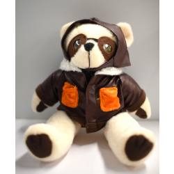 AFM Pilot Ted Bear