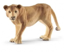 Lioness