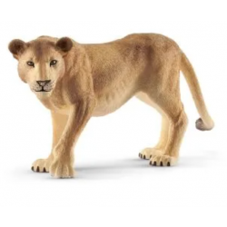 Lioness