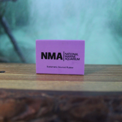 NMA Eraser - Purple