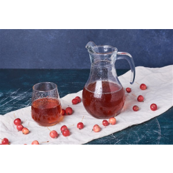 Blackcurrant Squash Jug
