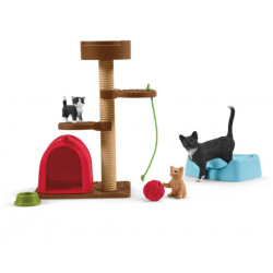 Playtime for cute cats
